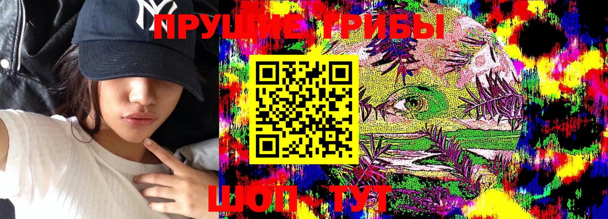 Псилоцибиновые грибы GOLDEN TEACHER  Арсеньев 