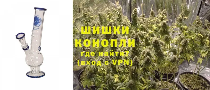 продажа наркотиков  Арсеньев  Конопля White Widow 